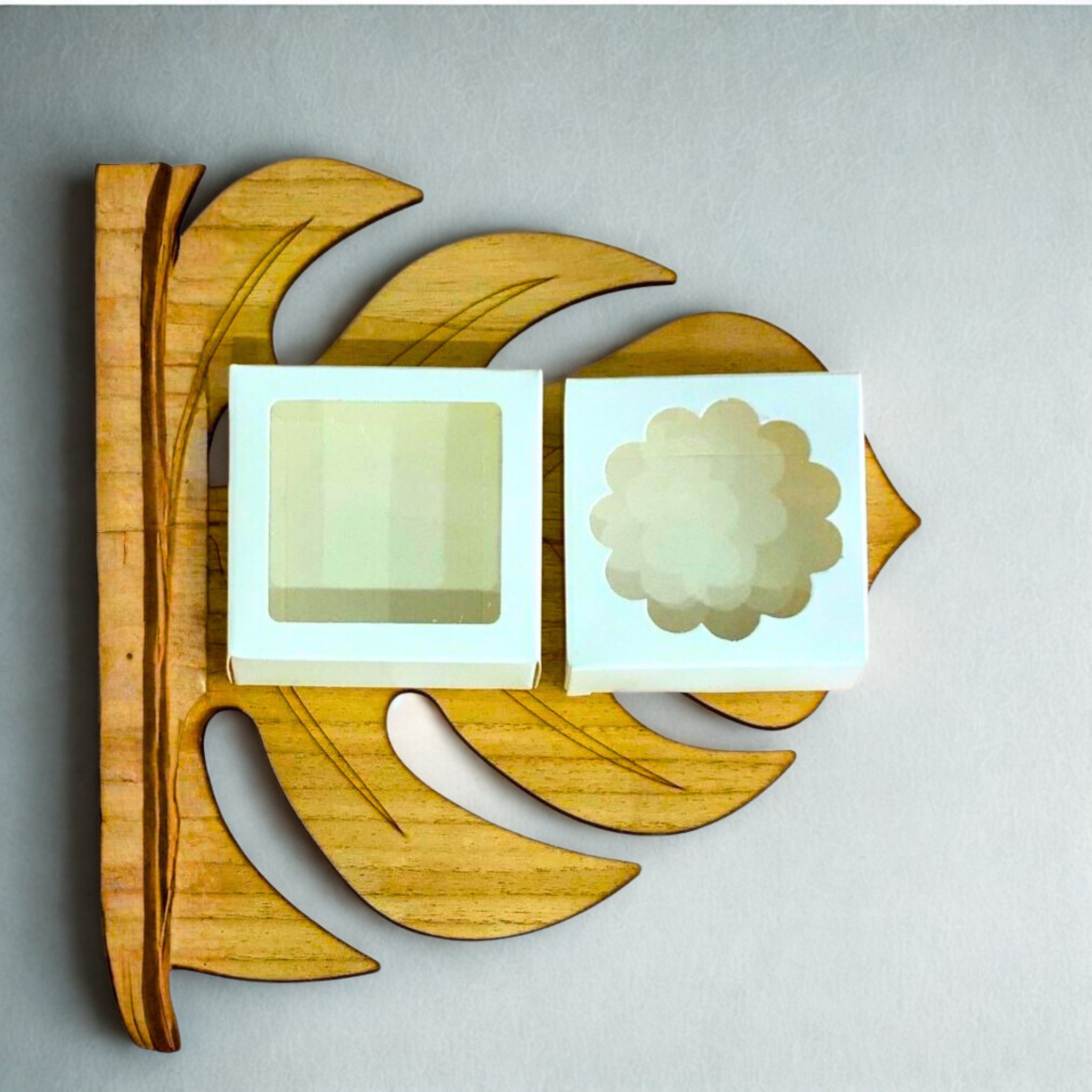 caja 10x10x4 cm con visor